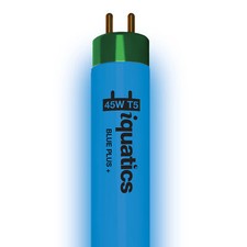 "Lampadina fluorescente