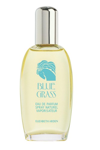 Elizabeth arden blue - elizabeth, eau