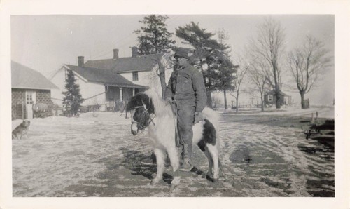 Foto vintage shetland - vintage,