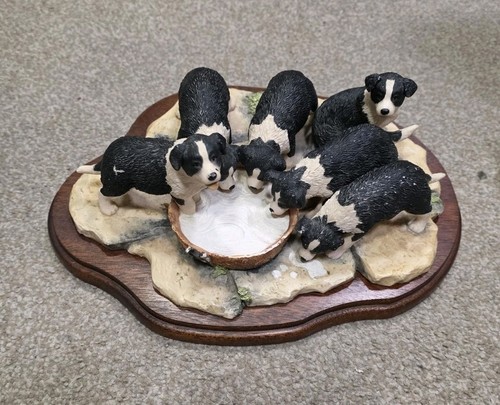 Border fine arts collie - fine,