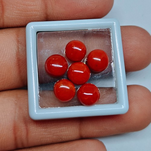 Autentico corallo rosso