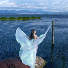 Costume danza del ventre ali