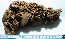 ROSA DEL DESERTO DEL SAHARA-MINERALE-LUNGA 20 CM.-PESO GR.710