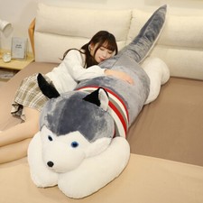 Peluche cane husky gigante