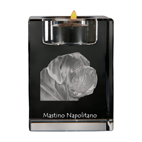 Mastino napoletano - mastino, napoletano,