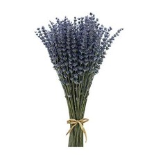 CoolCrafts Lavanda Essiccata