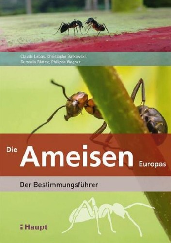 Claude lebas die ameisen - claude,