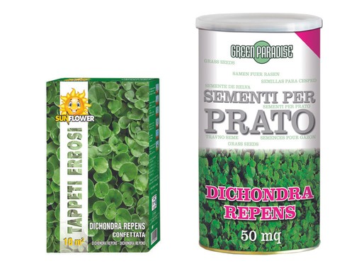 Semi prato dichondra - repens,