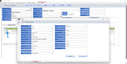 Software gestionale - software,