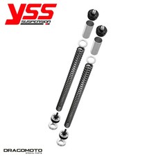 Kit Forcella TRIUMPH