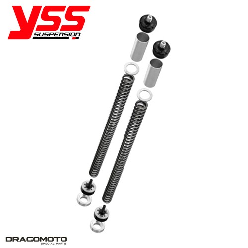 Kit forcella triumph - kit,