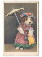 1949 cane vestito umanizzato cartolina d'epoca cappello ombrellino