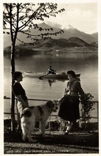 AVIGLIANA, Torino - Lago Grande - Cane San Bernardo - VG + Targhetta - A036