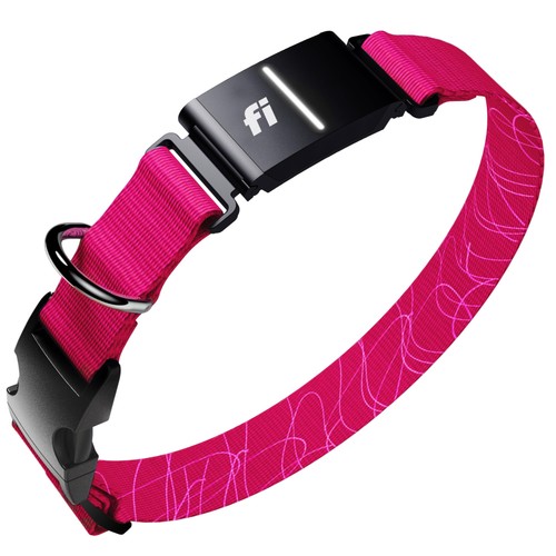 Nuova serie smart dog - fi,