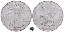 USA $1 one American Eagle dollar 2025 UNC FINE SILVER 999 OZ moneta d'argento lingotto