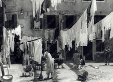 GIUDECCA Corte Grande
