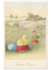 1954 pulcino uova colorate