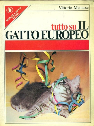 Tutto gatto europeo - su,