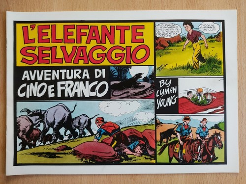 Cino franco elefante - e,