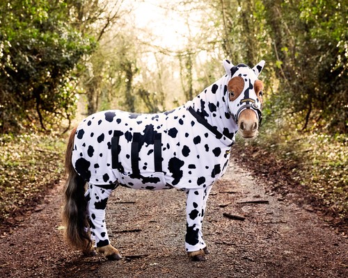 Pony all one tuta - pony, in