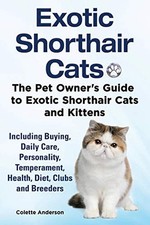 Exotic Shorthair Cats The Pet