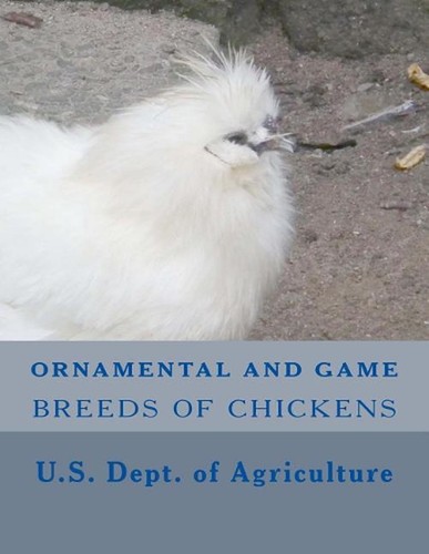 Ornamental and game breeds - ornamental, of