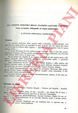 CORNAGGIA CASTIGLIONI Ottavio