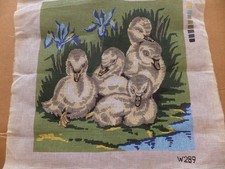 Baby Ducks zone umide fiori