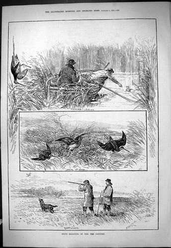Antica vecchia stampa 1881