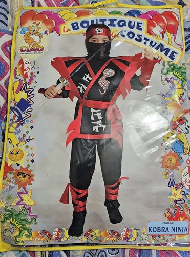 Costume carnevale feste ninja - feste,