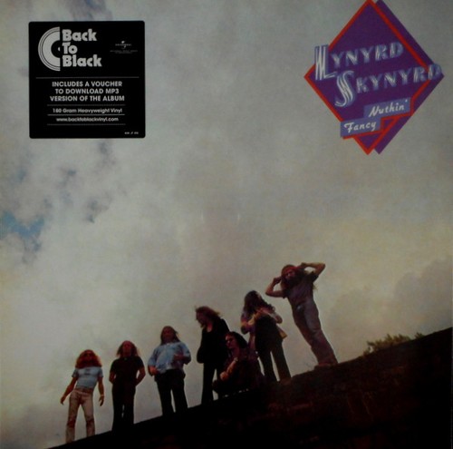 Lynyrd skynyrd nuthin fancy - fancy,