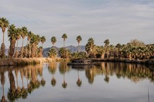 Foto:Zzyzx California Lake