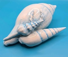 Porcellana capodimonte - porcellana,