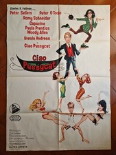 CIAO PUSSYCAT MANIFESTO