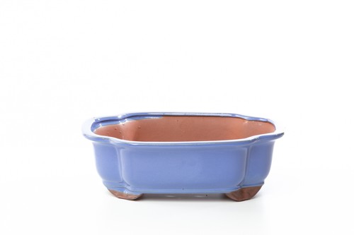 Vaso bonsai smaltato