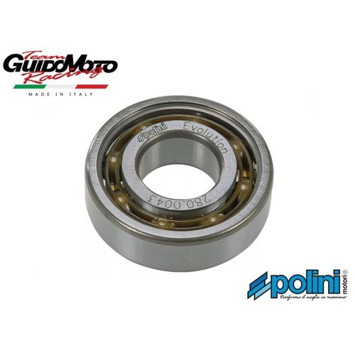Cuscinetti polini evolution - polini,