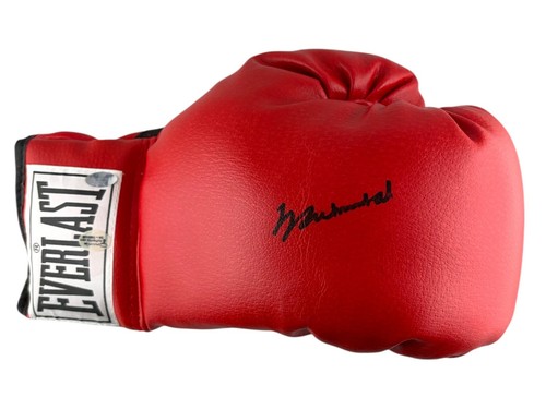 Guantone boxe firmato - guantone,