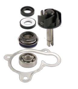 Kit revisione pompa acqua - revisione,