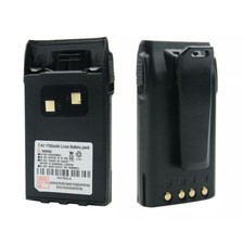 Batteria agli ioni di litio