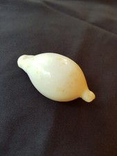 Conchiglia Cypraeidae Naturale