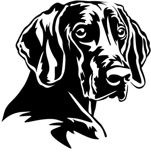 Adesivo weimaraner - adesivo,