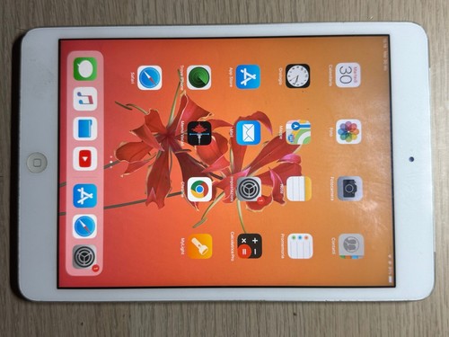 Ipad mini - ipad,
