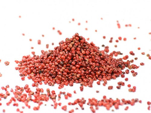 Bacche rosa di - -,