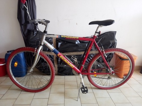 Bicicletta uomo mountain bike