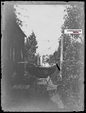 Neonato, Carrozzina, Placca