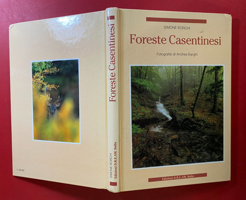 Simone borchi foreste - simone,
