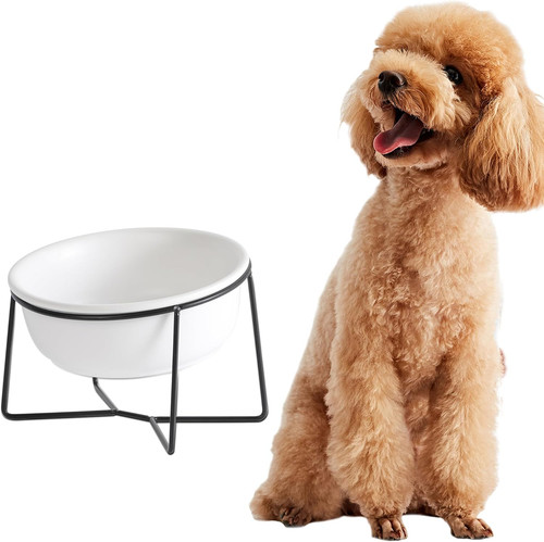 Ceramica ciotole per cani - ciotole,