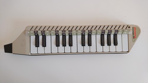 Diamonica bontempi tasti - 25,