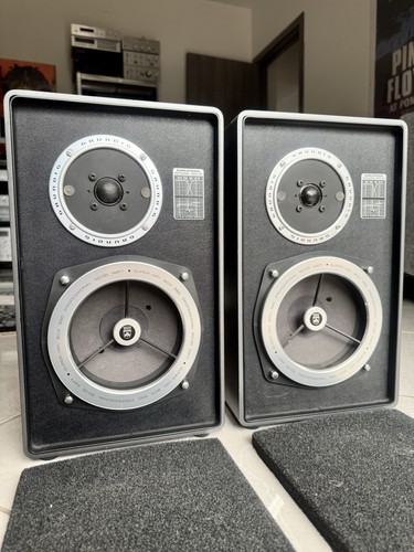 Grundig box 550 coppia - box,