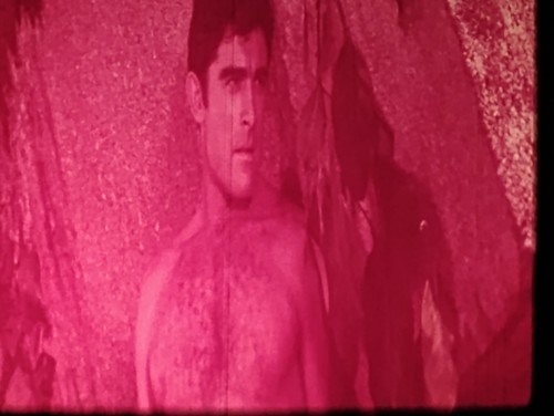 Unknown tarzan feature red - tarzan, feature,